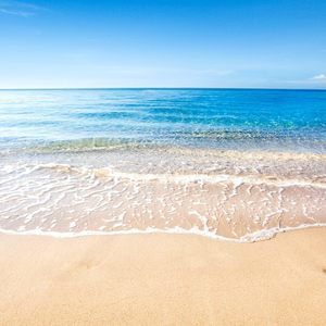 Meet your Posher, Regina